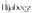 the hijabeez logo
